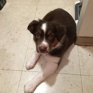 Meet your Posher, Caroline